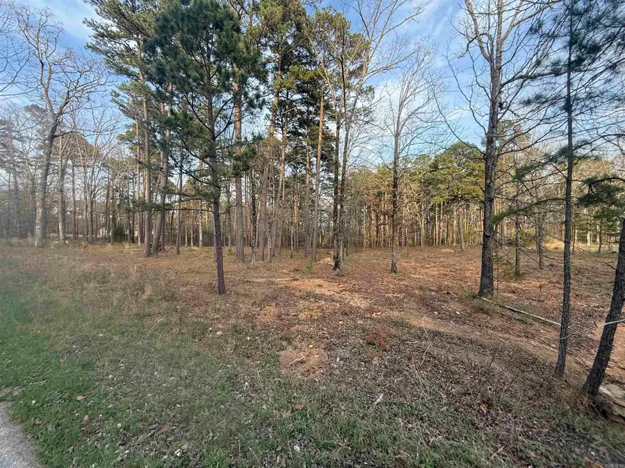 525 E Shore Drive, Drasco, AR 72530 - #3