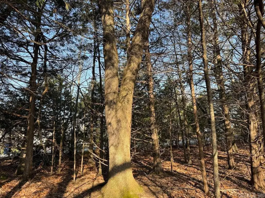 Pecks Drive N, Bergman, AR 72615 - #3