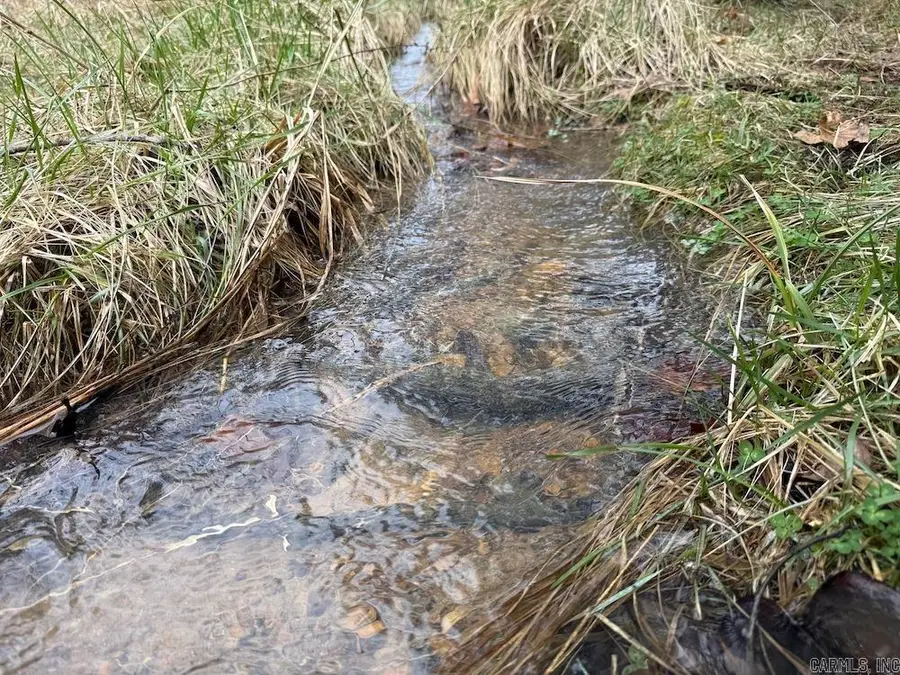 Red Bud Road, Sturkie, AR 72578 - #2