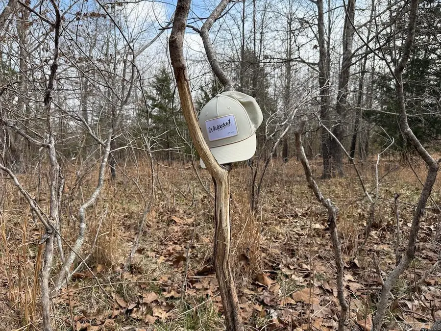 Red Bud Road, Sturkie, AR 72578 - #3