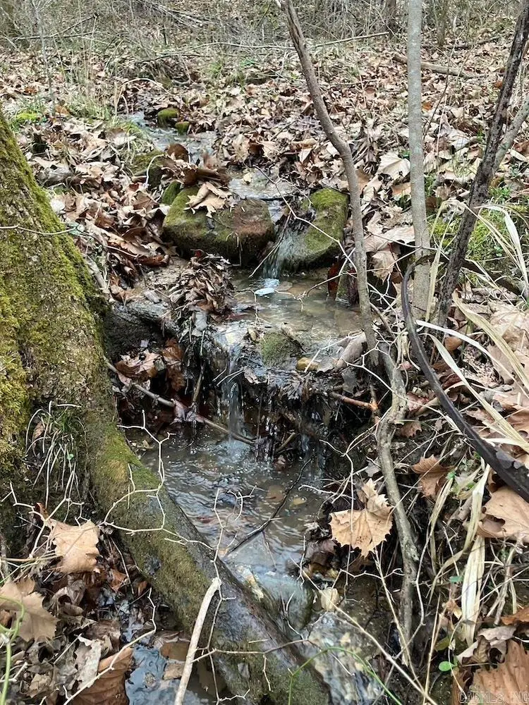 Old 66 Road, Oxley, AR 72645 - #3