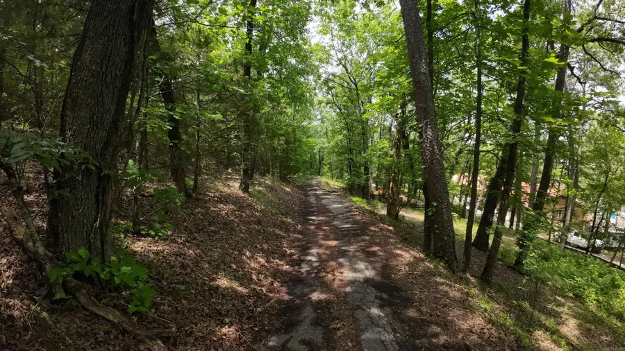 000 Long Gum Lane, Russellville, AR 72802 - #2