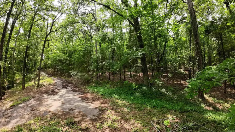 000 Long Gum Lane, Russellville, AR 72802 - #3