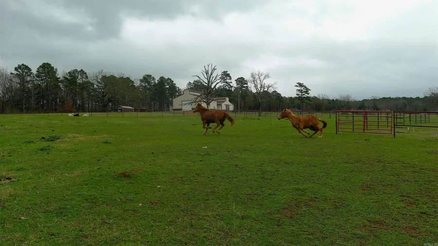 Address Withheld By Seller, Danville, AR 72833 - #2