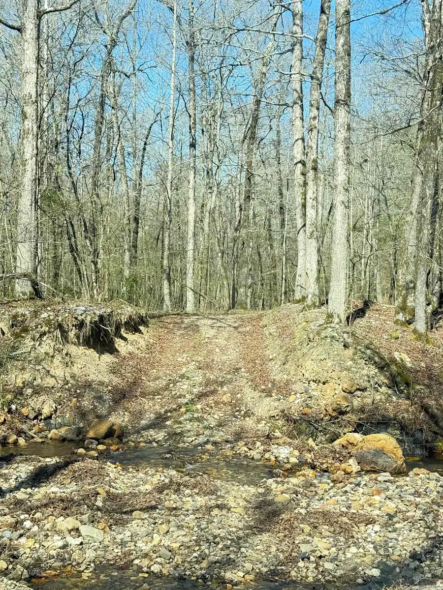 100 Acres Jones Valley, Caddo Gap, AR 71935 - #2