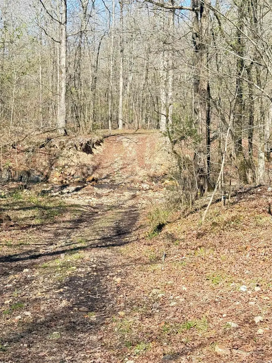 100 Acres Jones Valley, Caddo Gap, AR 71935 - #3