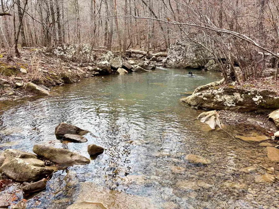 Address Withheld By Seller, Clinton, AR 72031 - #2