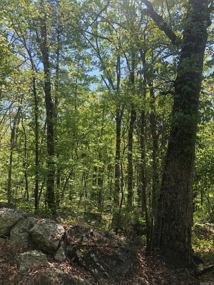 Tract 14 Weldon Rd., Sugar Camp, AR 72067 - #2