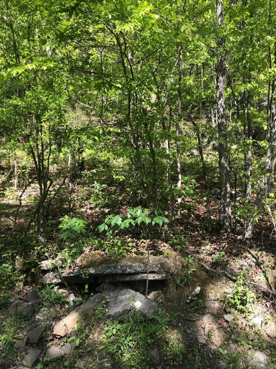 Tract 14 Weldon Rd., Sugar Camp, AR 72067 - #3