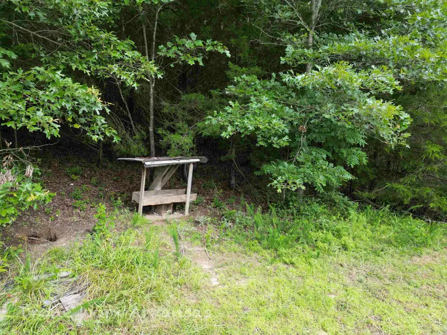 000 Meadow Crest Lane, Everton, AR 72633 - #2