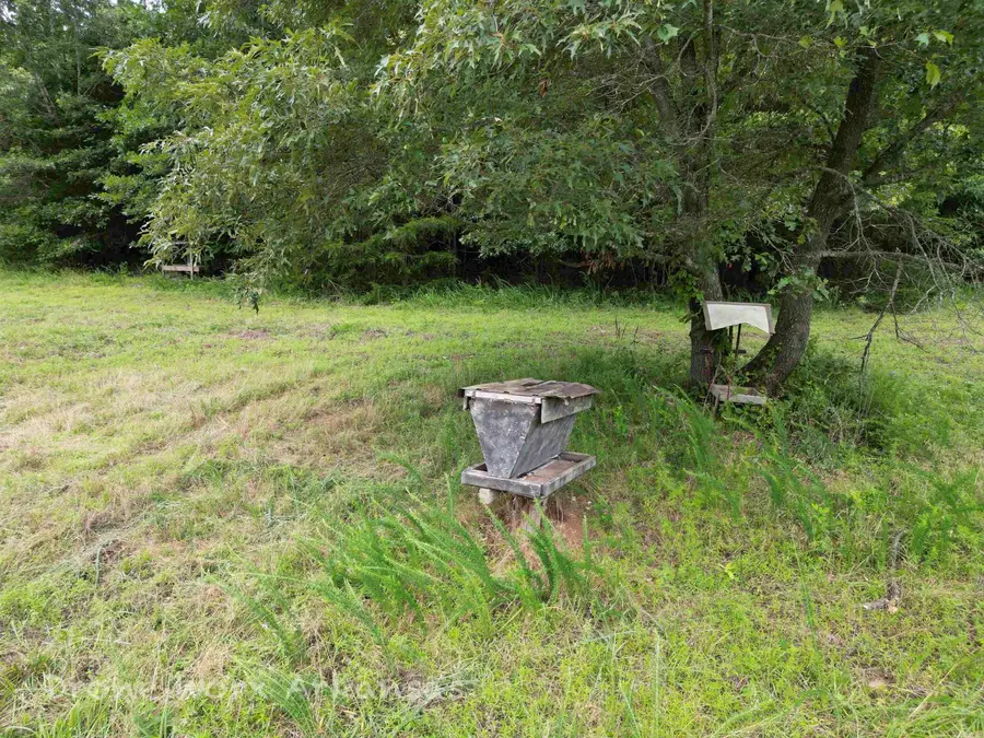 000 Meadow Crest Lane, Everton, AR 72633 - #3