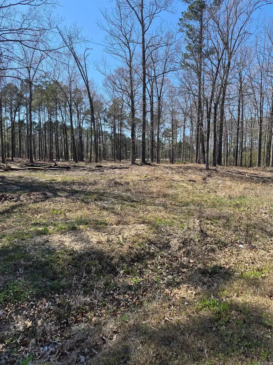 Tract 2 TBD Lanni Lane, White Hall, AR 71602 - #2