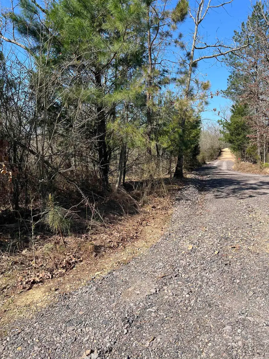 xx John Ashley, Murfreesboro, AR 71958 - #2