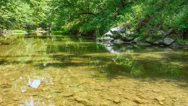 454 Clubhill, Jessieville, AR 71949