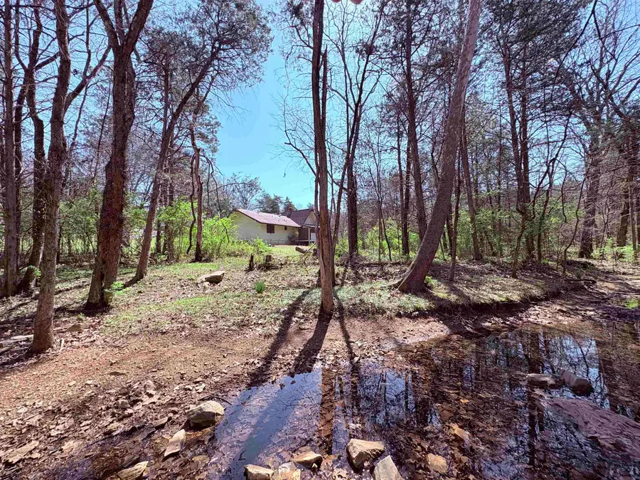 161 Cherokee Road, Cherokee Village, AR 72529 - #3