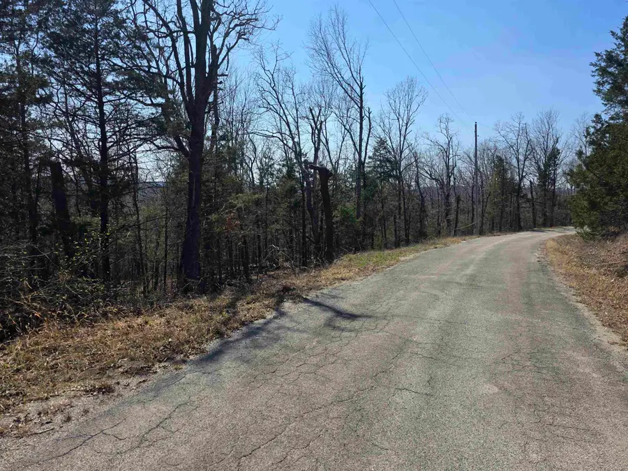 L31 B3 Ohew Drive, Cherokee Village, AR 72529 - #3