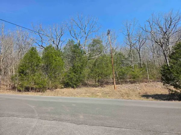 L3 B5 Flathead Drive, Cherokee Village, AR 72529