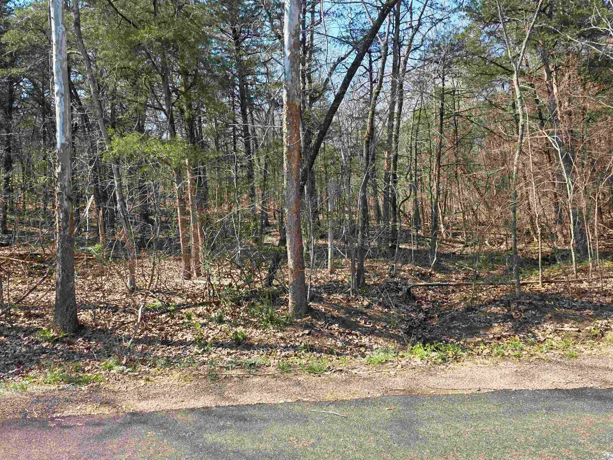 L35 B4 Nokonda Road, Cherokee Village, AR 72529 - #1