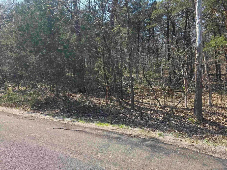 L35 B4 Nokonda Road, Cherokee Village, AR 72529 - #2