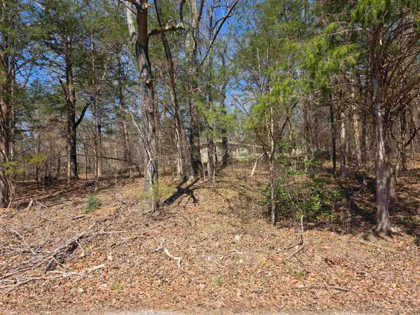 L2 B3 Nokonda Road, Cherokee Village, AR 72529