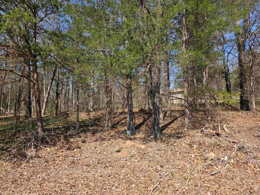 L2 B3 Nokonda Road, Cherokee Village, AR 72529 - #3