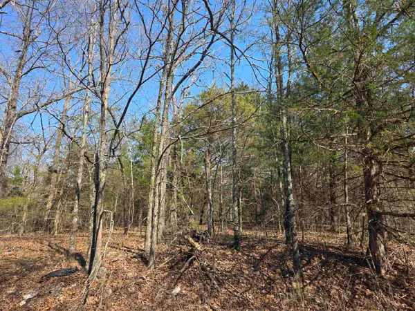 L3 B2 Inca Trace, Cherokee Village, AR 72529