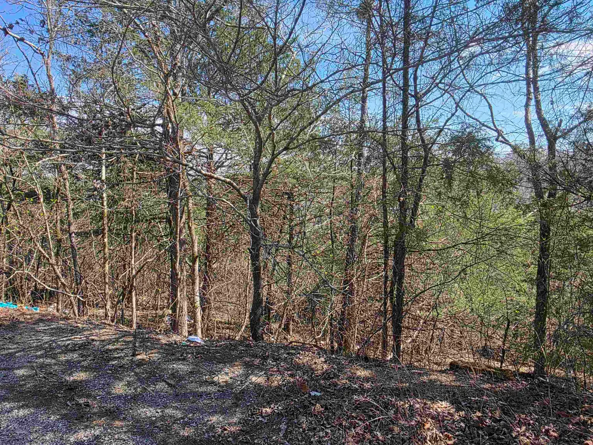 L24 B6 Chief Day Break Drive, Cherokee Village, AR 72529 - #1