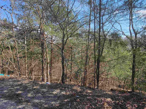 L24 B6 Chief Day Break Drive, Cherokee Village, AR 72529