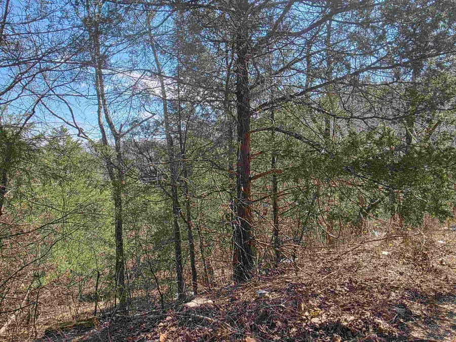 L24 B6 Chief Day Break Drive, Cherokee Village, AR 72529 - #3