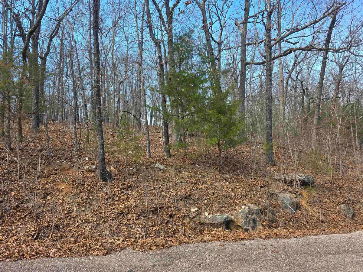 L6 B1 Deer Run Drive, Cherokee Village, AR 72529 - #1