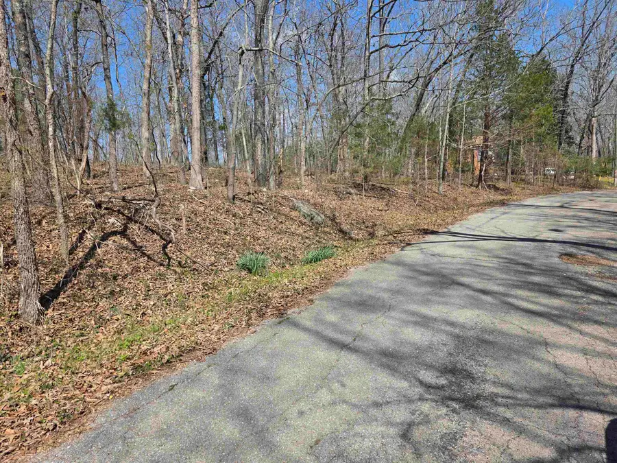 L33 B7 Navajo Trace, Cherokee Village, AR 72529 - #2