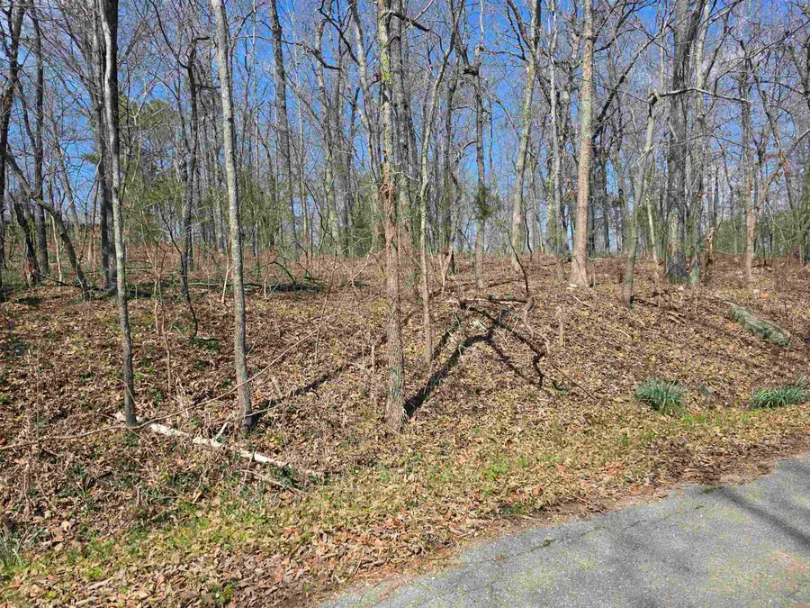 L33 B7 Navajo Trace, Cherokee Village, AR 72529 - #3