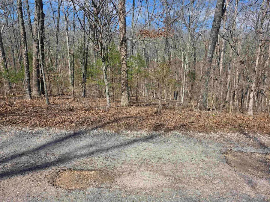 L12 B6 Navajo Drive, Cherokee Village, AR 72529 - #2