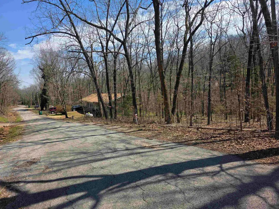 L25 B4 Keno Drive, Cherokee Village, AR 72529 - #3