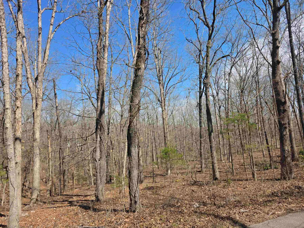 L18 B4 Powhatan Drive, Cherokee Village, AR 72529 - #1