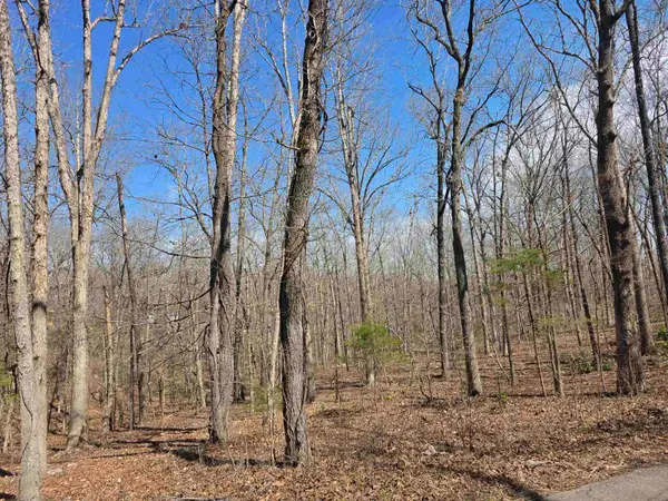 L18 B4 Powhatan Drive, Cherokee Village, AR 72529