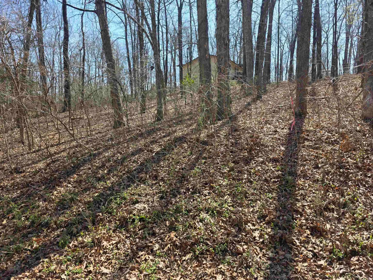 L35 B2 Powhatan Drive, Cherokee Village, AR 72529 - #1