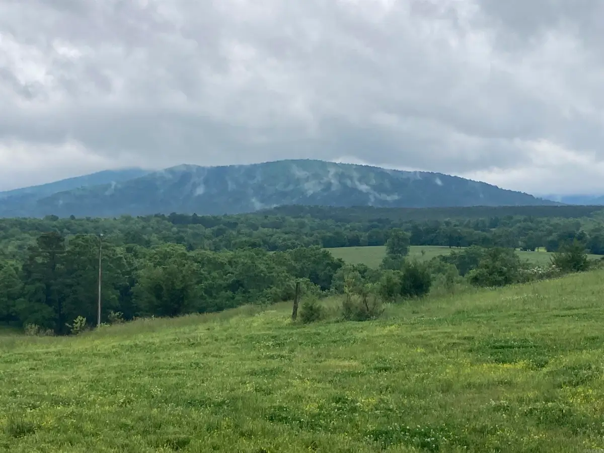 TBD. 62 acres Polk Road 85, Mena, AR 71953 - #1