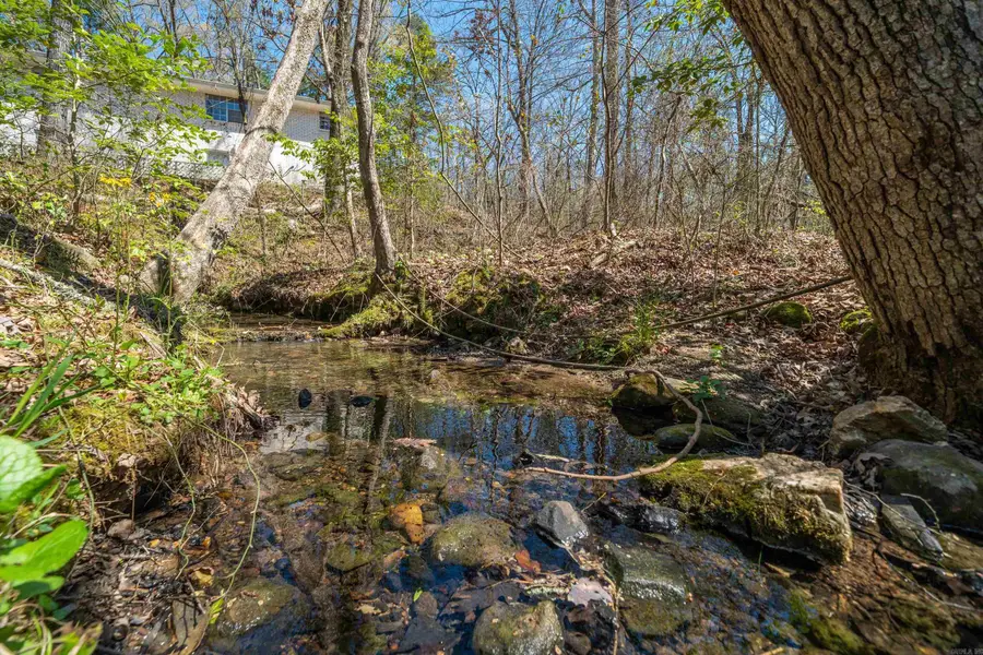 15 Autumn Hills Lane, Mount Ida, AR 71957 - #3