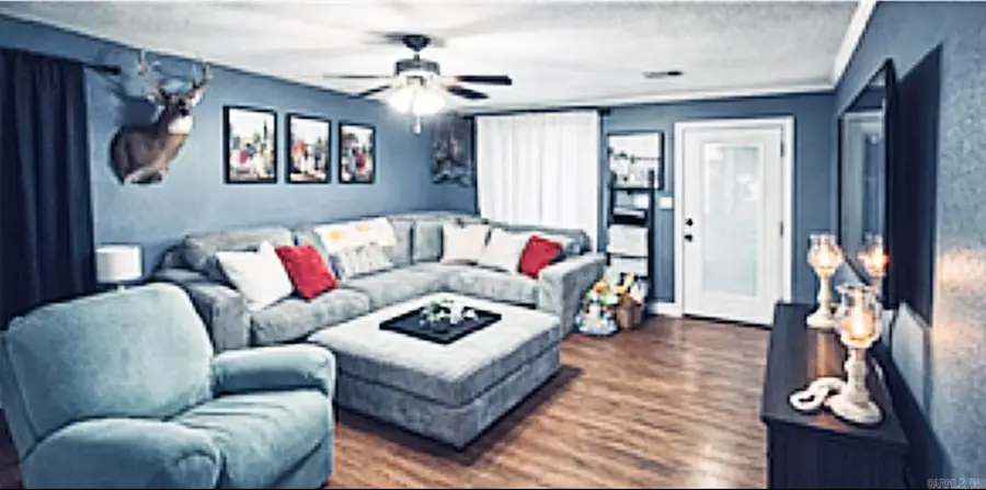 675 Hwy 351, Crowleys Ridge, AR 73450 - #2