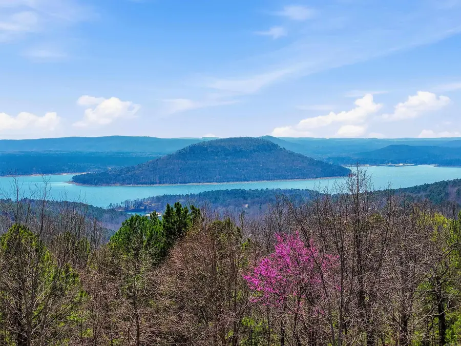 133 Chelsea Court, Fairfield Bay, AR 72088 - #2