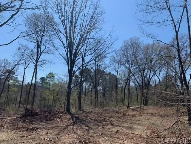 Tract 1 11395 Hwy 84, Bismarck, AR 71929 - #1