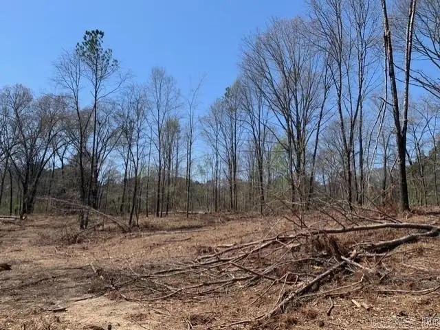 Tract 1 11395 Hwy 84, Bismarck, AR 71929 - #2