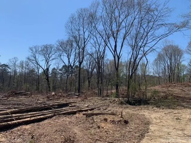 Tract 1 11395 Hwy 84, Bismarck, AR 71929 - #3