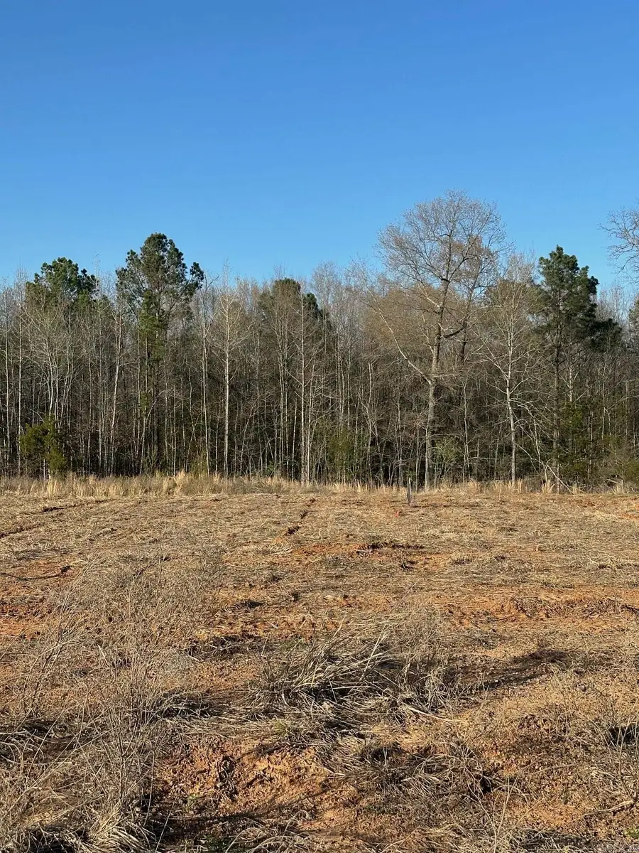 411 Corondelet Lane, Maumelle, AR 72113 - #2