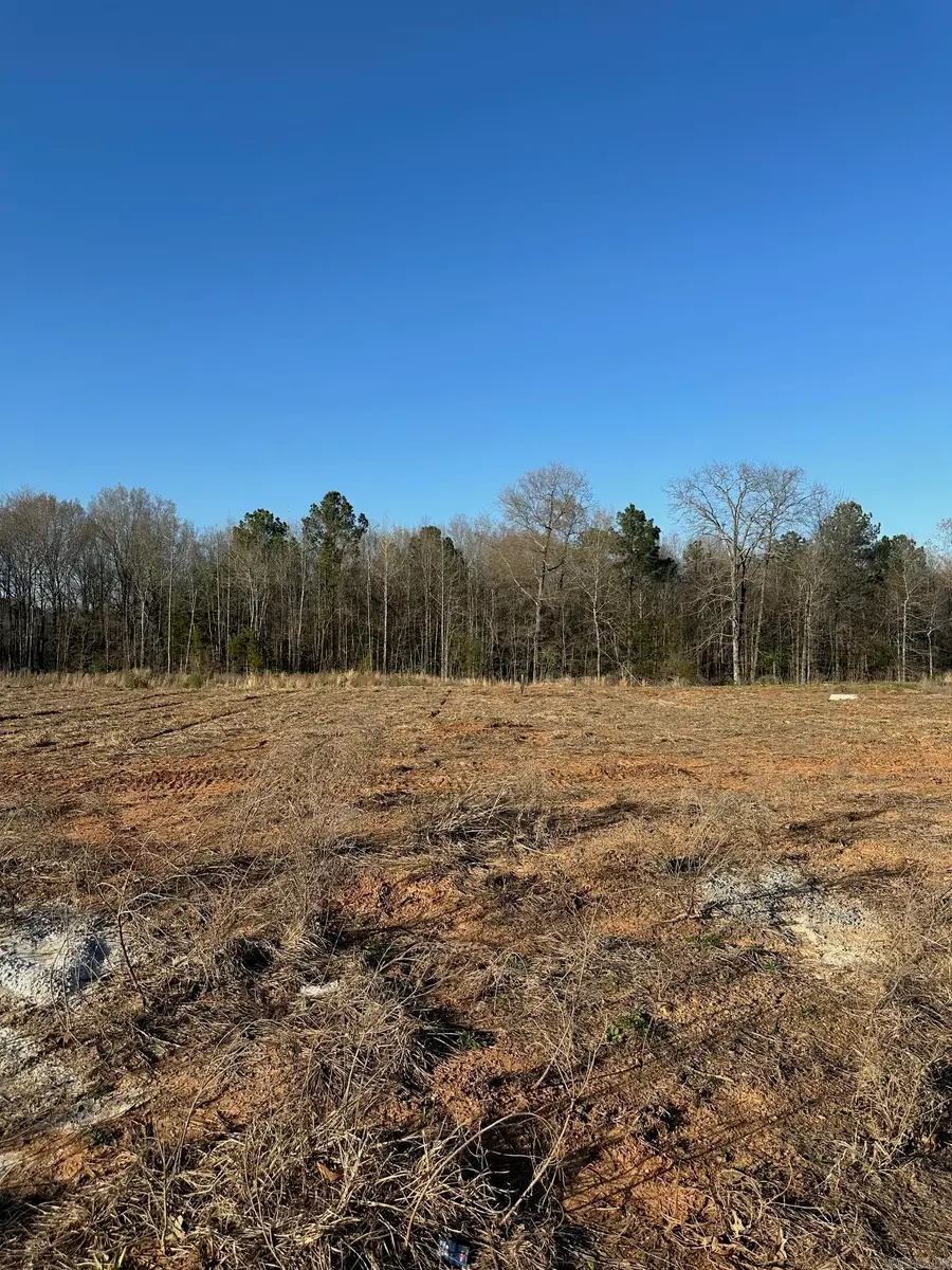 411 Corondelet Lane, Maumelle, AR 72113 - #3