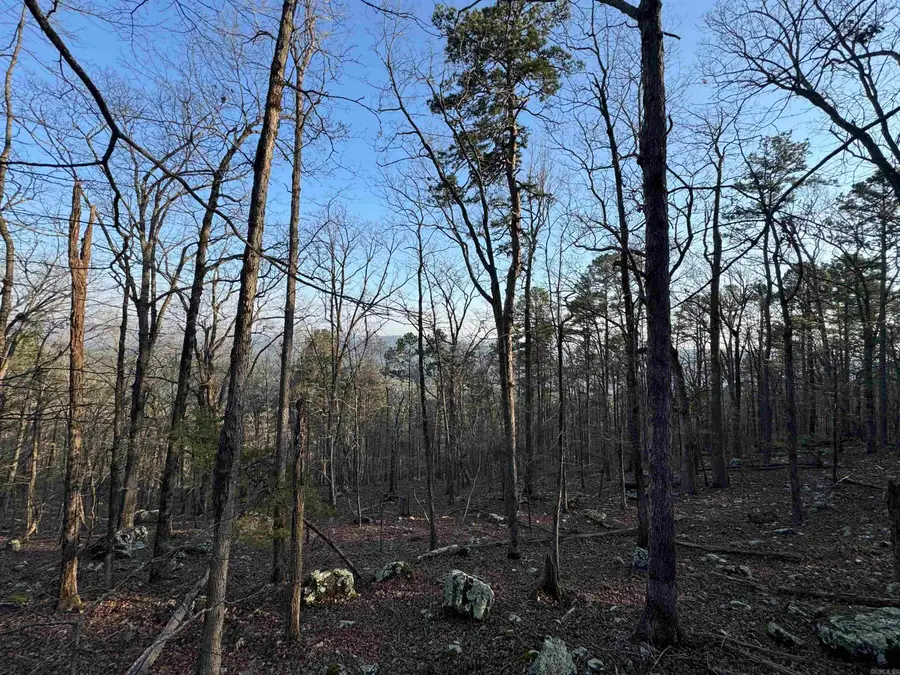 71 Jarandilla Drive, Hot Springs Village, AR 71909 - #2