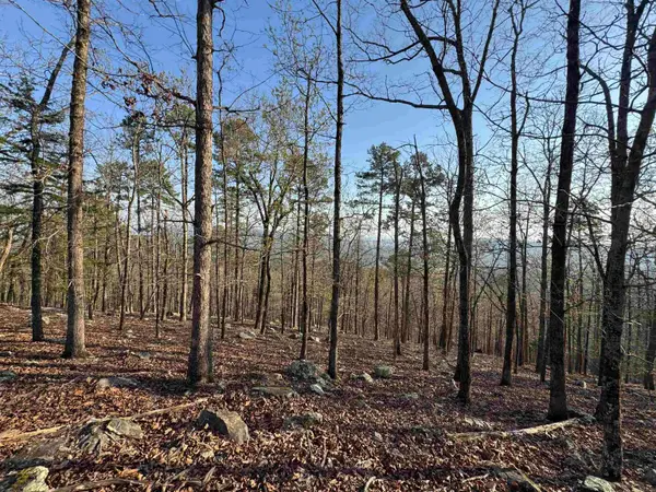 87 Jarandilla Drive, Hot Springs Village, AR 71909