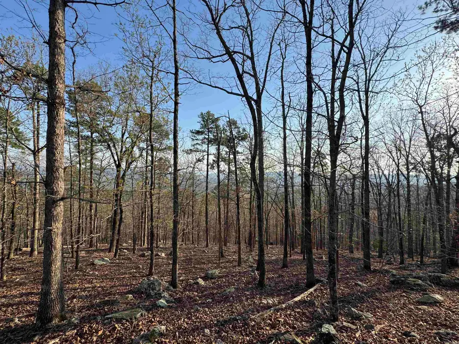 87 Jarandilla Drive, Hot Springs Village, AR 71909 - #2