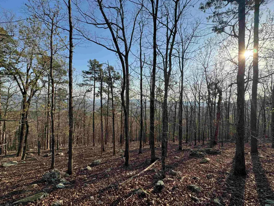 87 Jarandilla Drive, Hot Springs Village, AR 71909 - #3